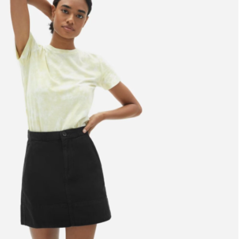 Everlane The Canvas Stamp Skirt Size 8
